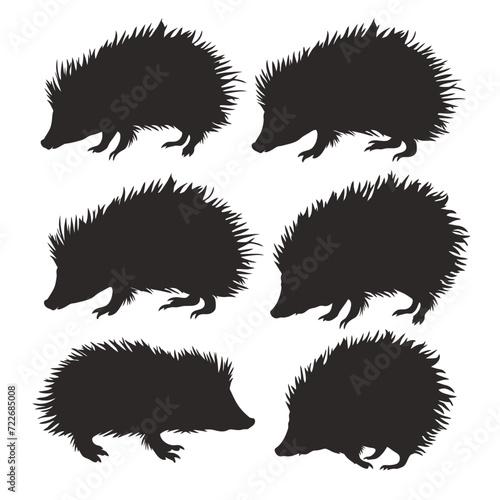 Porcupine silhouette vector set design photo