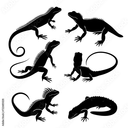 lizard silhouette vector set design