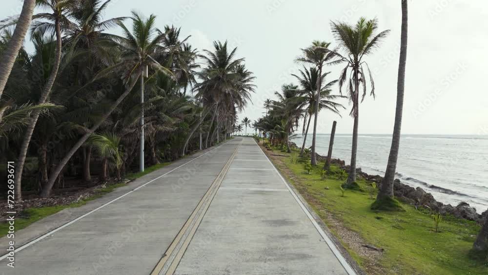 Tropical Road lined with Palm Coconut Trees on San Andres Island, Aerial Tropical Road lined with Palm Coconut Trees on San Andres Island, Aerial