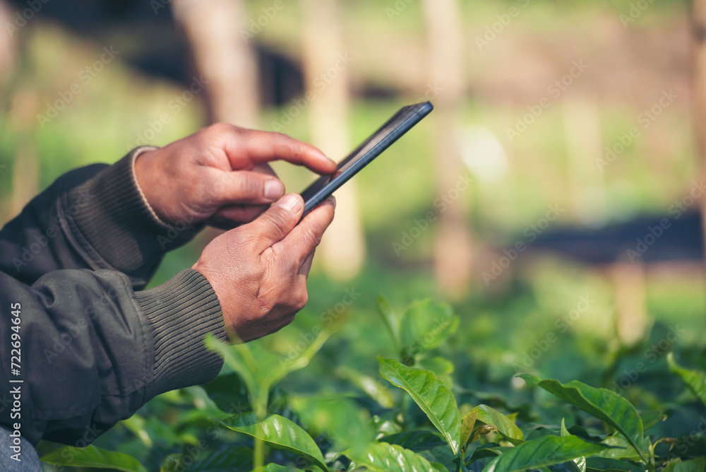 Smart farmer holding smartphone in eco green farm sustainable quality control. Close up Hand control planting tree. Farmer hands cultivated fresh garden in eco biotechnology. Farmland technology - obrazy, fototapety, plakaty 