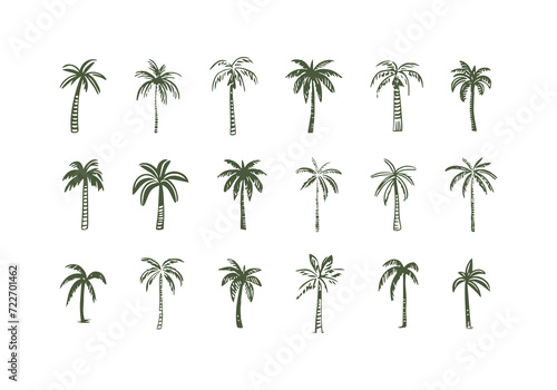 Fototapeta Naklejka Na Ścianę i Meble -  Hand drawn palm tree doodle element set. Colorful hawaiian clipart, isolated summer vacation collection in vintage art style. Tropical plant painting illustration bundle.