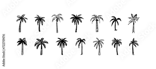 Hand drawn palm tree doodle element set. Black and white hawaiian clipart, isolated summer vacation collection in vintage art style. Tropical plant painting illustration bundle. photo