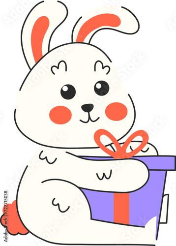 Rabbit Animal Illustration