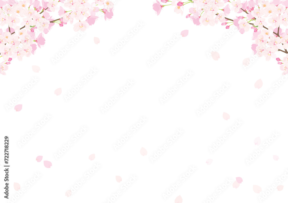 桜　背景イラスト