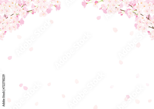 桜 背景イラスト