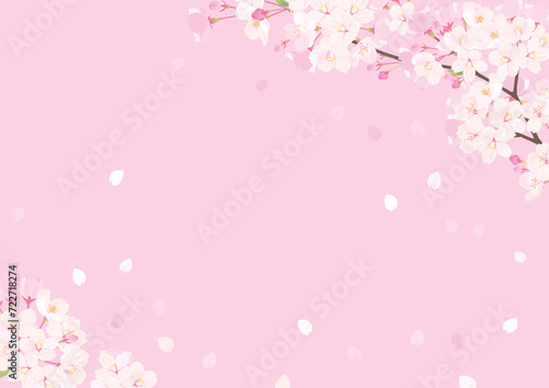 桜　背景イラスト