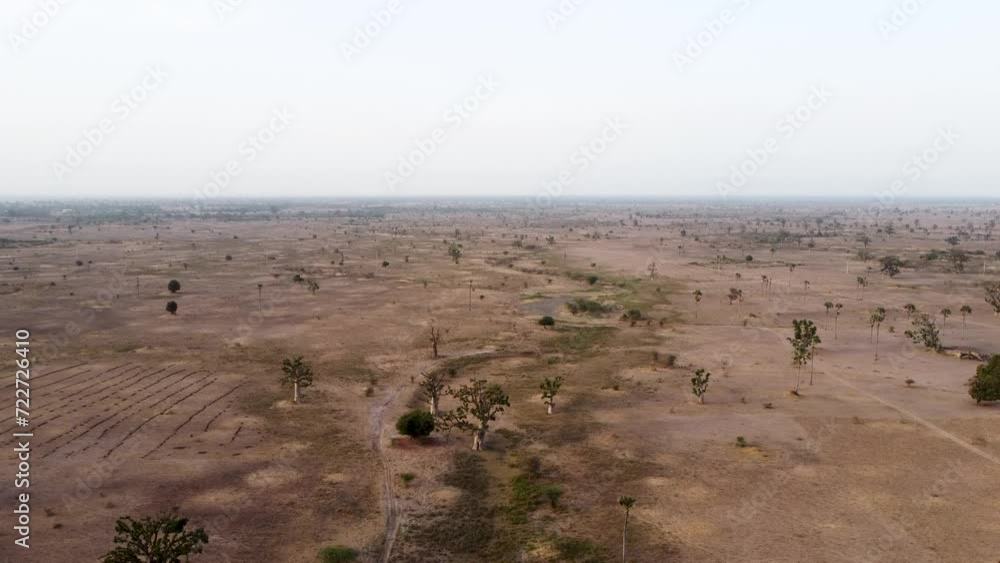 Revealing drone shot of scattered baobabs in the desert of Senegal.
Revealing drone shot of scattered baobabs in the desert of Senegal.
