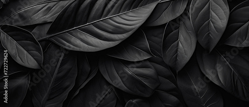 Black and White Photo of Textured Leaves Close-Up. Generative AI. 