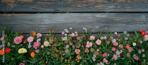 Colorful flowers bloom along a weathered wooden fence.