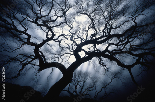 A mesmerizing photograph reveals the intricate dance of naturalistic shadows cast by numerous branches of a tree. Generative AI