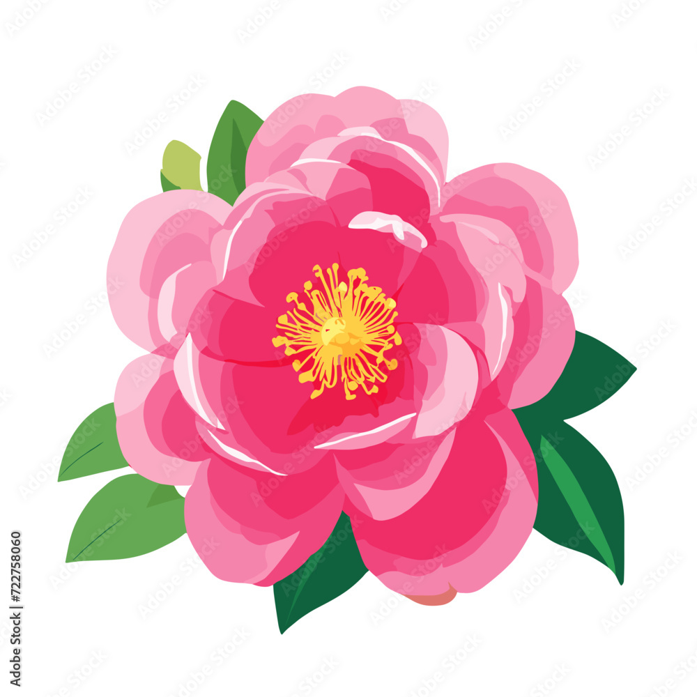 Fototapeta premium illustration of pink peony