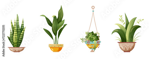 Houseplant and macrame plant growing in pots. Set of handmade home decorations macrame plants isolated on white background. Cartoon flat illustration.
