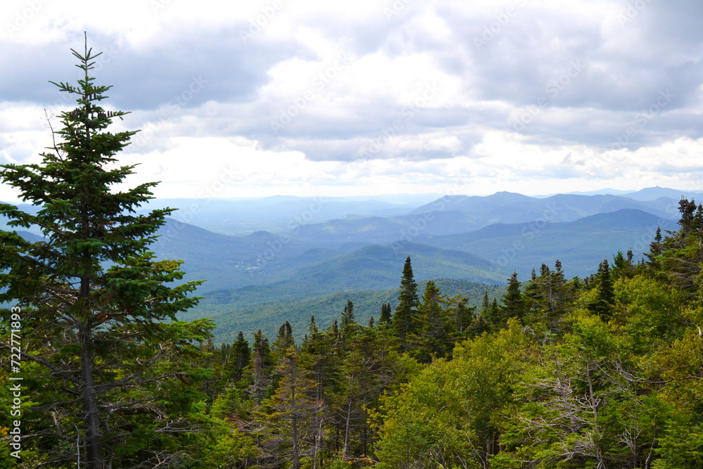 Fototapeta premium On the Summit of Wildcat Mountain