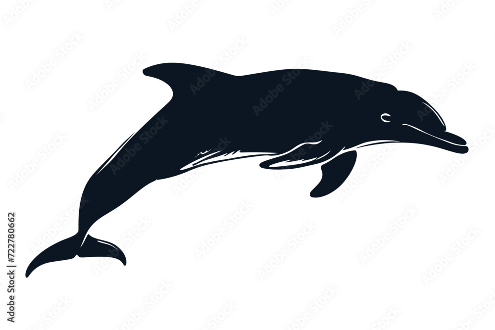 Fototapeta premium Dolphin Fish Silhouette