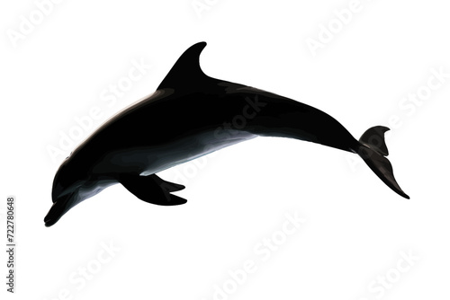 Dolphin Fish Silhouette