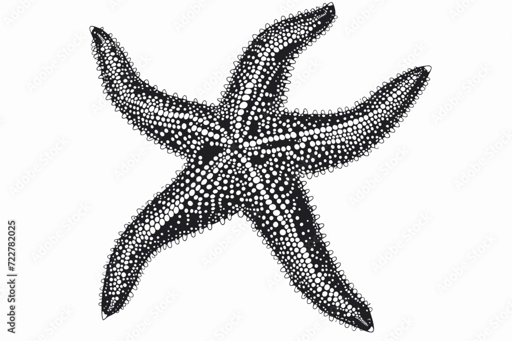 Starfish Black Illustration Starfish Black Illustration