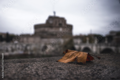 Autumn