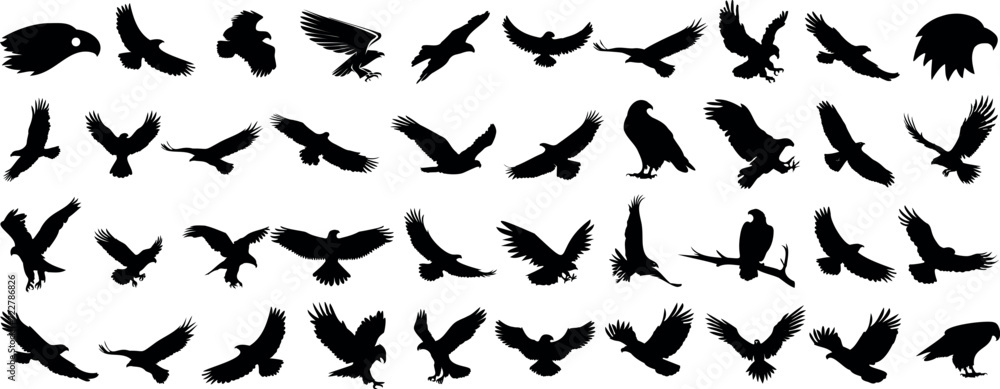 Eagle Vector Illustration Set, Black and White Silhouettes. Collection of 40 Different Eagle Poses, Perfect for Logos, Designs, and More.