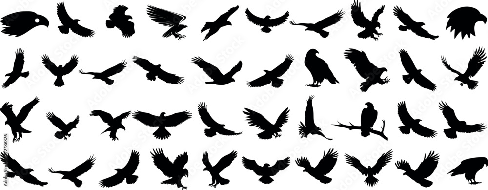 Eagle Vector Illustration Set, Black and White Silhouettes. Collection of 40 Different Eagle Poses, Perfect for Logos, Designs, and More. Eagle Vector Illustration Set, Black and White Silhouettes. Collection of 40 Different Eagle Poses, Perfect for Logos, Designs, and More.