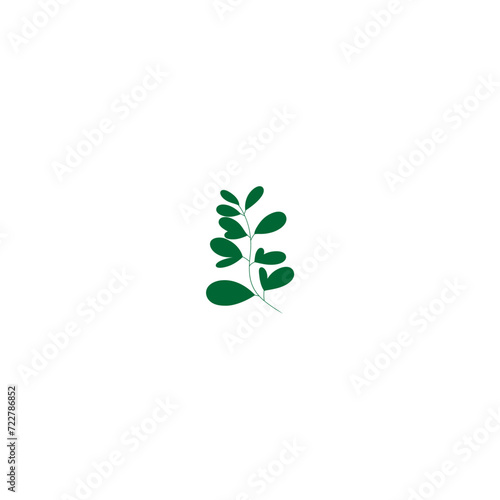 plant with green leaves vector leaf © ET