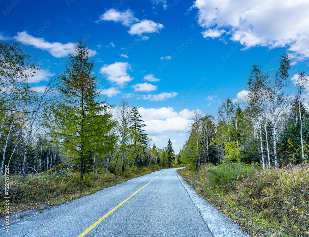 The up and down mountain tourist road in the mixed deciduous and broad-leaved forest area of Changbai Mountain West Scenic Area, Fusong County, Yanbian Korean Autonomous Prefecture, Lin Province