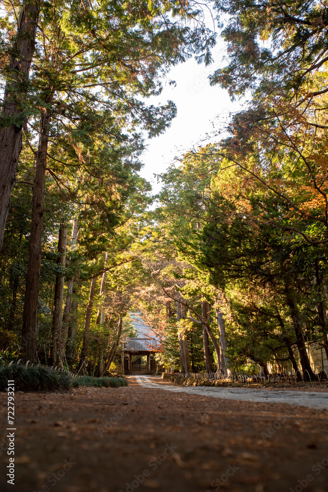 Naklejka premium 鎌倉 寿福寺の１月２