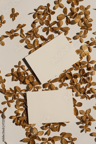 Paper sheet cards with blank mockup copy space and dried star flower petals on white background