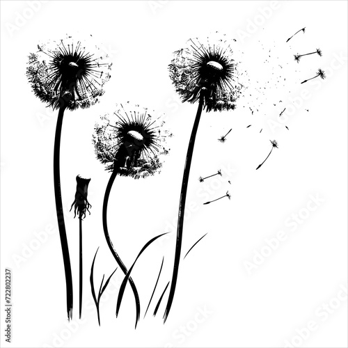 Sketch Decorative blooming dandelions with fluffy flying seeds vector background illustration. Hand drawn fluffy dandelions