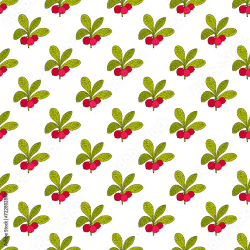 Seamless pattern with Alpine bearberry (Arctous alpina), edible and medicinal plant. photo