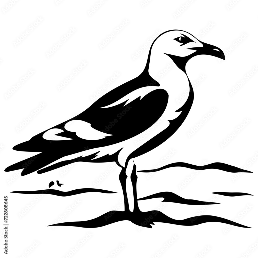Fototapeta premium kelp gull bird icon illustration, kelp gull bird silhouette logo svg vector