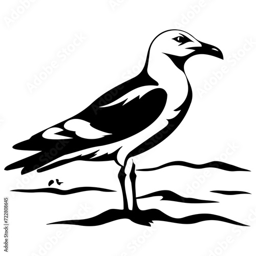 kelp gull bird icon illustration  kelp gull bird silhouette logo svg vector