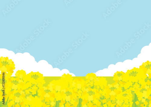 菜の花畑の春っぽい背景イラスト