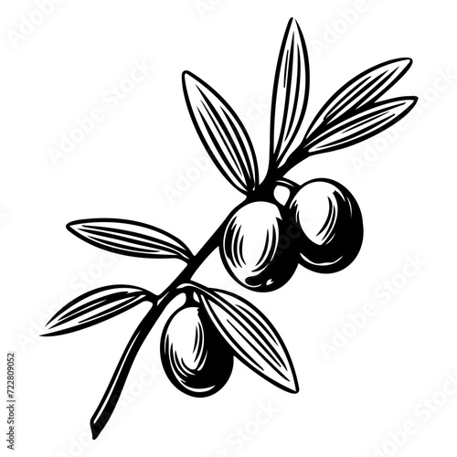 olive icon illustration  olive silhouette logo svg vector
