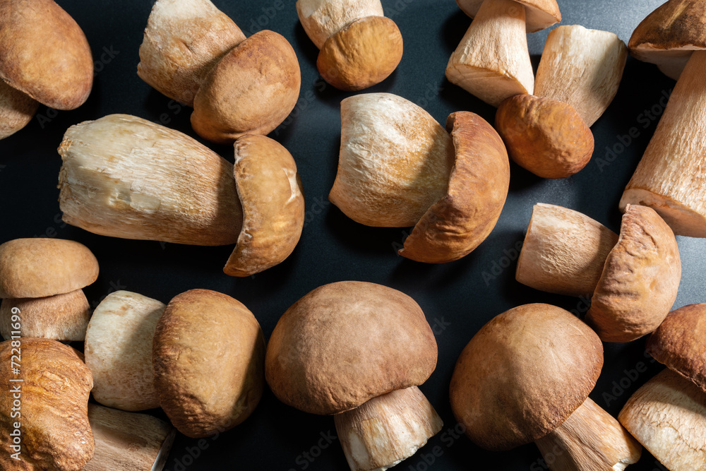 White edible mushrooms on a black background. Mushroom from the genus Boletus edulis. They grow in pine and mixed forests. White edible mushrooms on a black background. Mushroom from the genus Boletus edulis. They grow in pine and mixed forests.