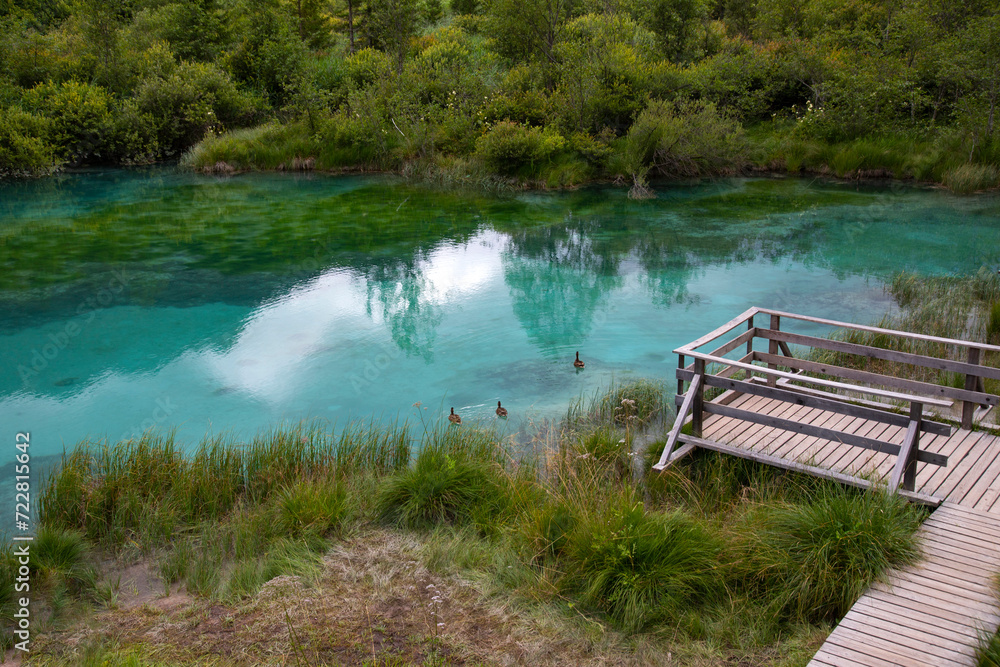 Fototapeta premium Zelenci - emerald-green lake in the mountains, in Kranjska Gora, Slovenia