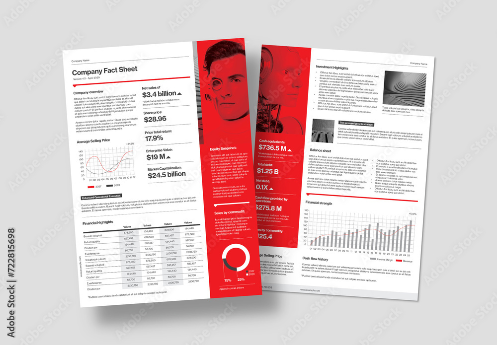 Fact Sheet Layout Stock Template | Adobe Stock classy-newspaper-template-stock-template-adobe-stock