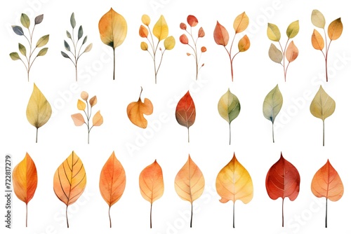 Watercolor autumn leaves set. Hand painted leaves isolated on white background.