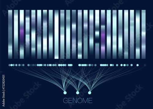 DNA genomic test, genome map.