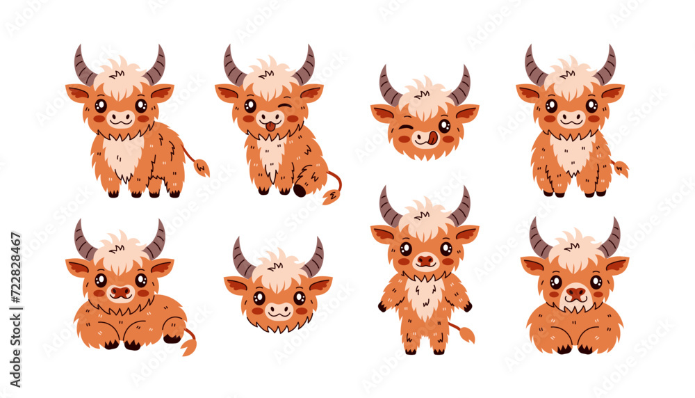 Fototapeta premium Highland cattle cow character set. Collection of vector illustrations. Adorable farm baby animal various poses collection. Happy mascot for milk and dairy products, kids, zoo