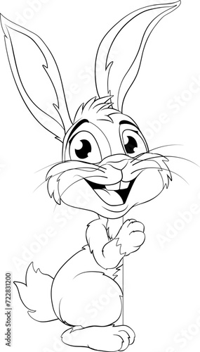 The Easter bunny or other f...