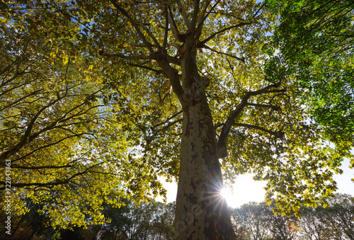 Photography Ivry cemetery, extramural cemetery of Paris