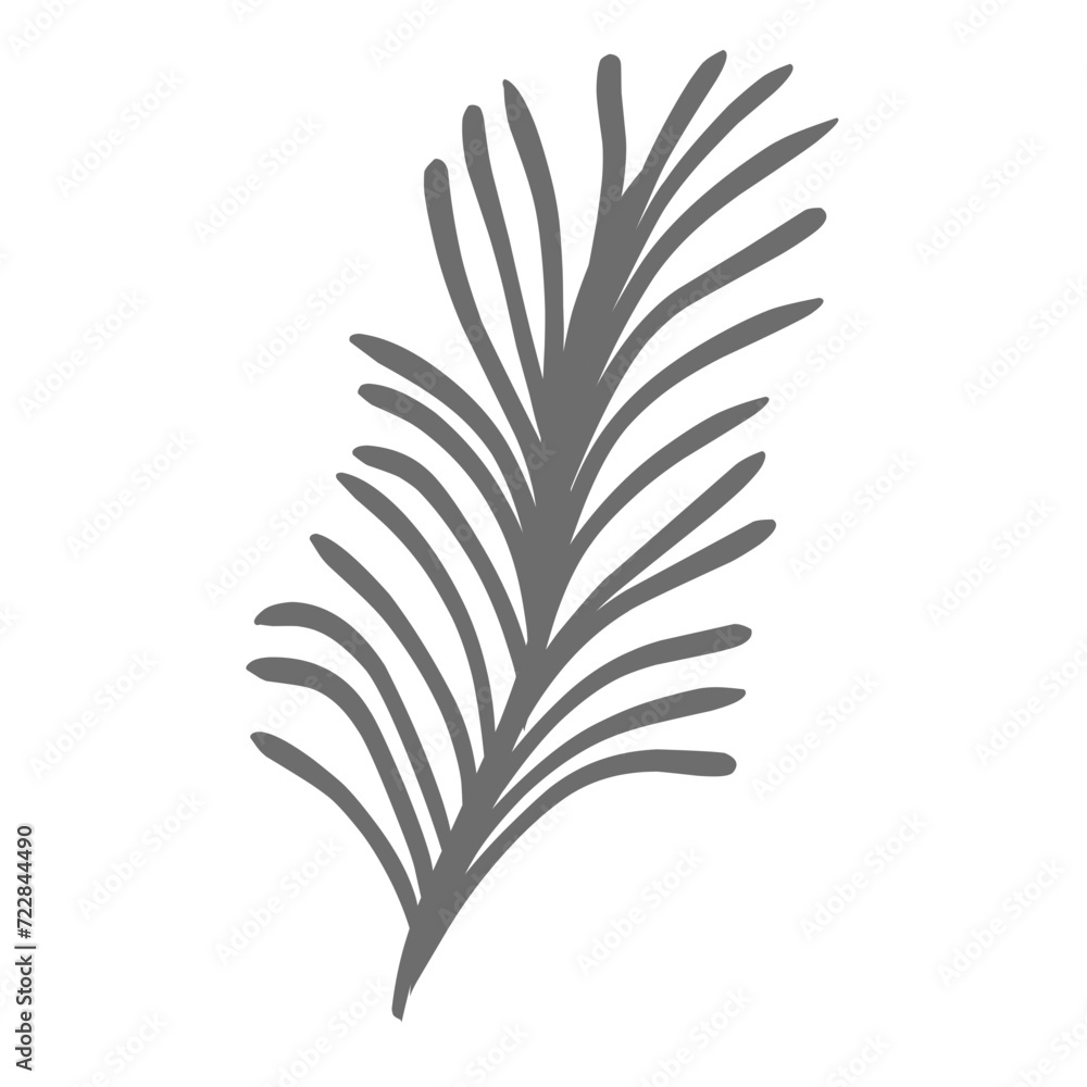 Obraz premium Plants leaves drawing 