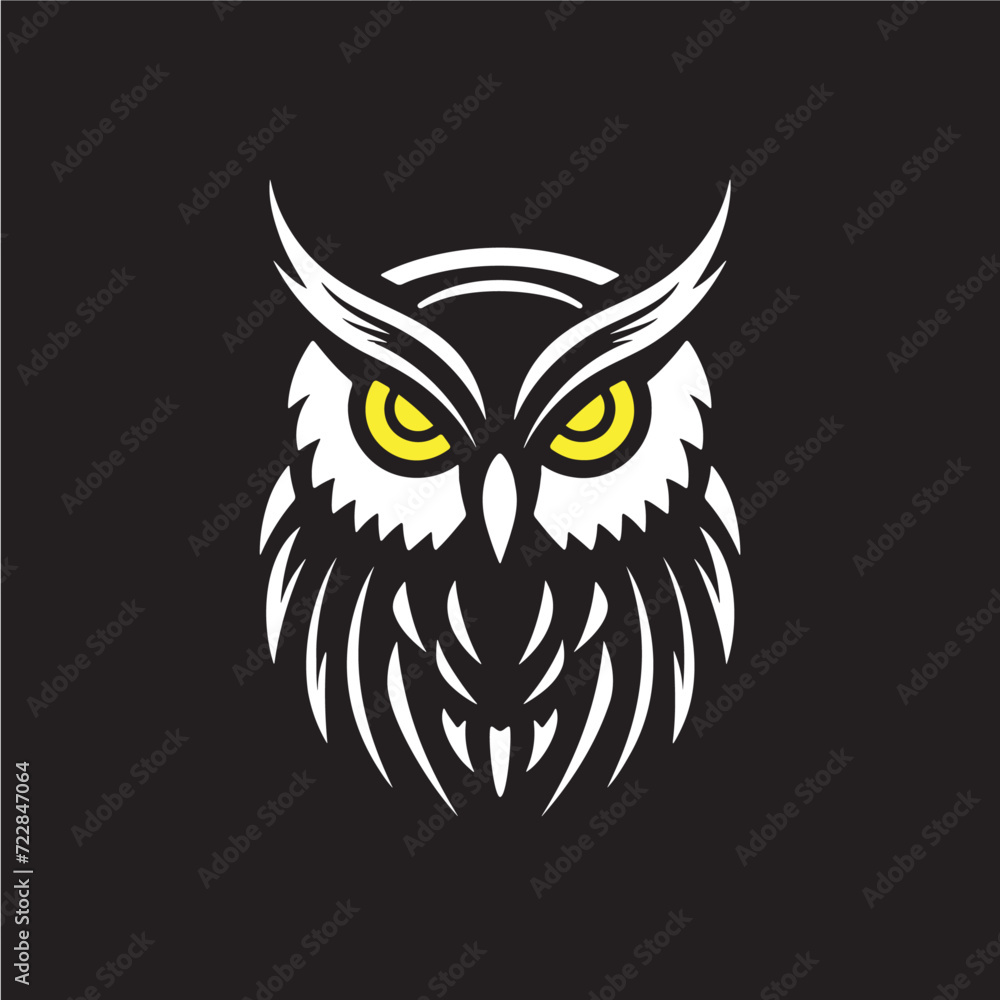 owl on a black background