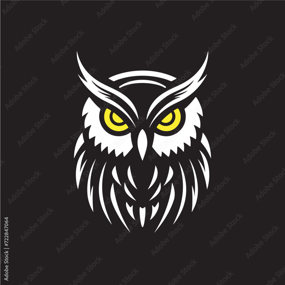 owl on a black background owl on a black background