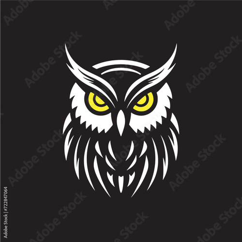 Fototapeta Naklejka Na Ścianę i Meble -  owl on a black background