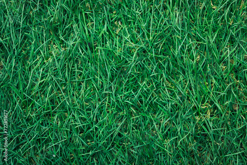 Fototapeta Naklejka Na Ścianę i Meble -  Artificial fake grass texture background on the park