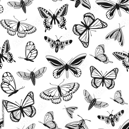 vector pattern of butterflies in sketch style
