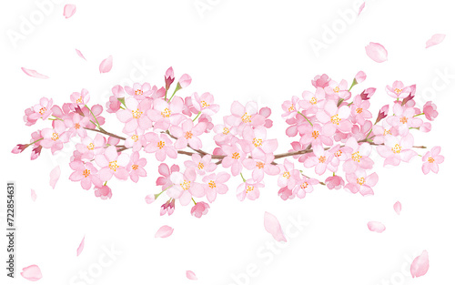 桜と水彩イラストで構成した装飾フレーム。見出し装飾。 photo