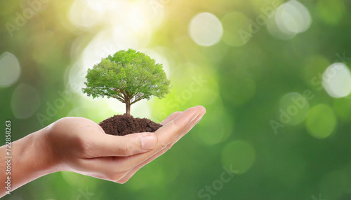 Hand Holding a Tree Against a Blurred Green Nature Background