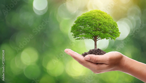 Hand Holding a Tree Against a Blurred Green Nature Background